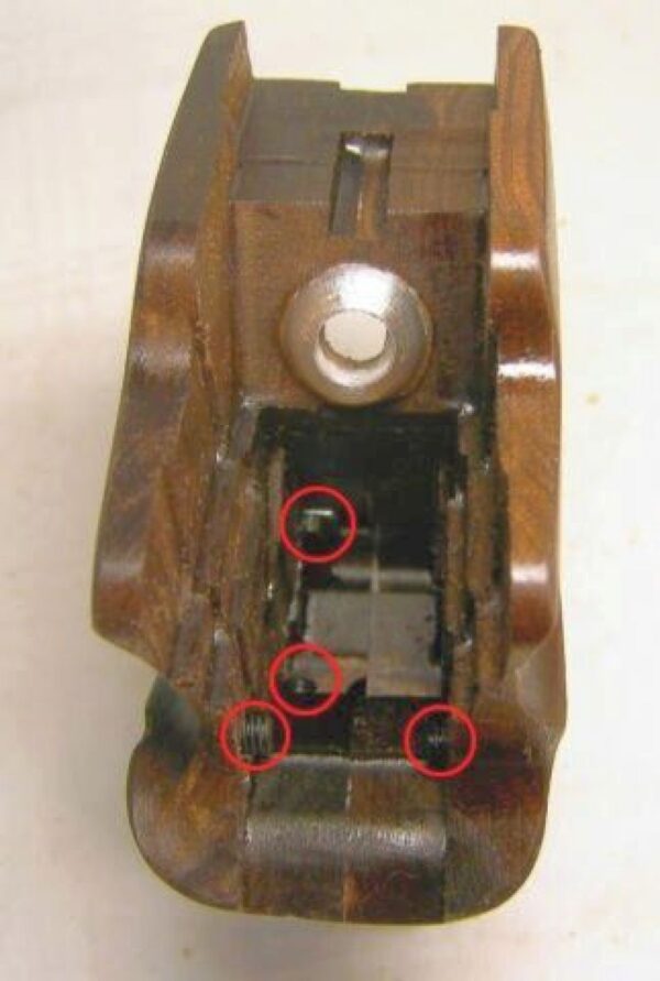 Cacha Walther SSP - Imagen 2